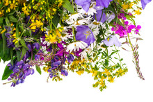 Bouquet Of Multicolored Wildflowers On White Background