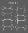 Horse snaffle  set on  a gray background.vector illustration