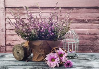 Wall Mural - Pink heather in pot, chrysanthemum with candles