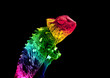 canvas print picture - Chamaleon Rainbow Colors