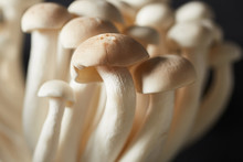White Shimeji Mushrooms