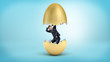 A small businessman revealed as just hatched from inside a cracked golden egg.