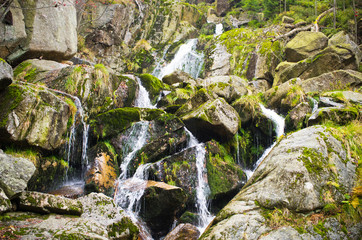 Poster - Stream in Jizera mountains, Czech Republic