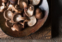Shiitake Mushrooms On A Plate