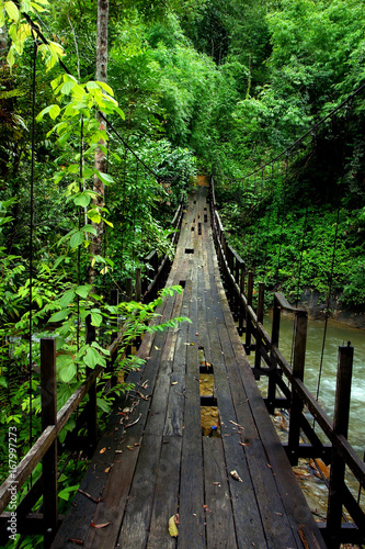 Dekoracja na wymiar  most-w-lesie-deszczowym