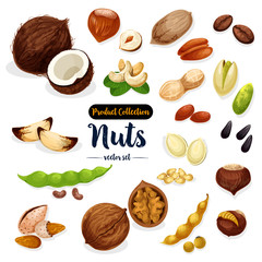 Wall Mural - Nuts, seed, bean cartoon icon set for food design
