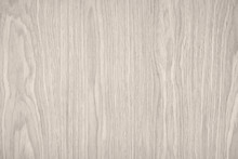White Wood Texture Background Surface