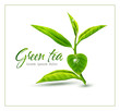 Vector branch of green tea isolated on white background. Element for design, template.