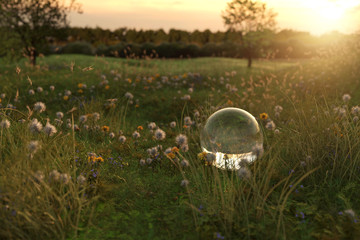 Glaskugel liegt auf Blumenwiese in der sommerlichen Abendsonne