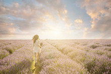 Attractive Slim Girl On The Amazing Lavender Field. Unrecognizable Woman Running Into The Sunset.  Romantic Mood Sky
