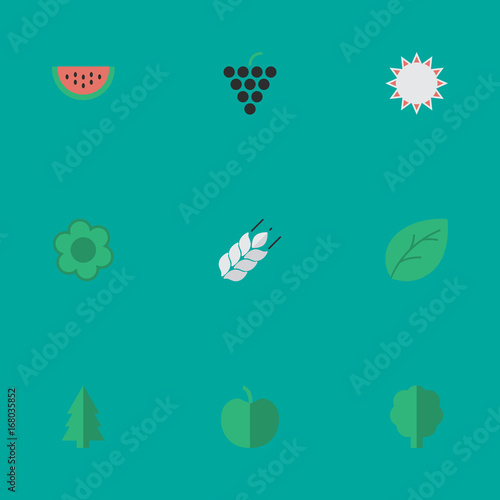 Vector Illustration Set Of Simple Garden Icons Elements Wood