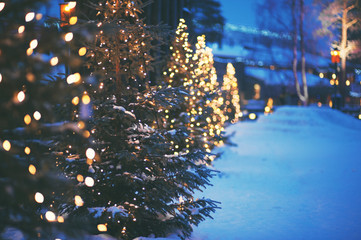 closeup of christmas tree