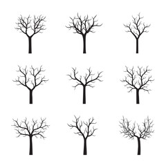 Wall Mural - Set of black Trees without Leaves. Vector Illustration.