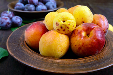 Wall Mural - Ripe plums and apricots in ceramic bowls on a dark wooden background.