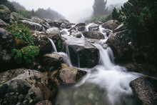 Foggy Mountain River Clean Stream In High Tatra, Slovakia