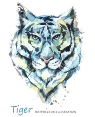 Watercolor tiger on the white background. African animal. Wildlife art illustration. Can be printed on T-shirts, bags, posters, invitations, cards, phone cases, pillows.