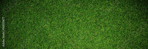 Fotografía Close up view of astro turf