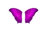 Fototapeta Motyle - Beautiful butterfly wing