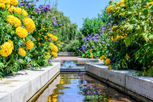 Vibrant Yellow And Purple Flowers Reflecting In A Gazing Pool