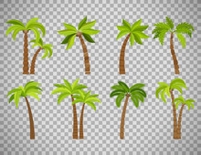 Palm Trees Set On Transparent Background