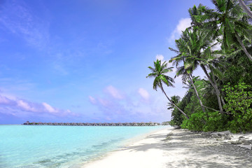 Canvas Print - Beautiful sea beach at tropical resort