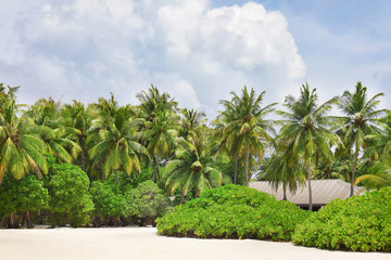 Canvas Print - Beautiful sea beach at tropical resort