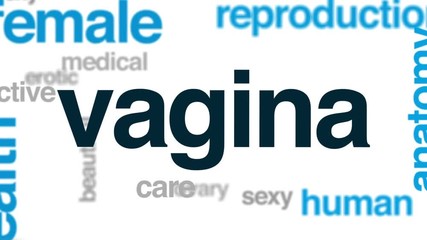 Poster - Vagina animated word cloud, text design animation.