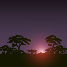 Sunset Scene African Landscape With Silhouette Rhino And Trees