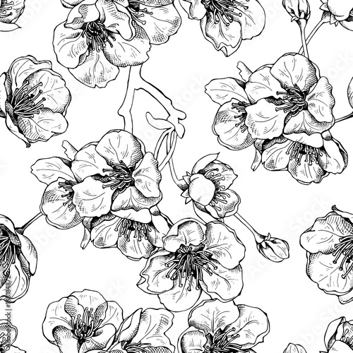 Stoffe zum Nähen Nahtlose Muster mit Blumen der Kirsche (Sakura). Vektor-Illustration.