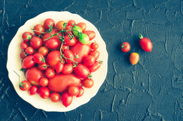 Various colorful tomatoes