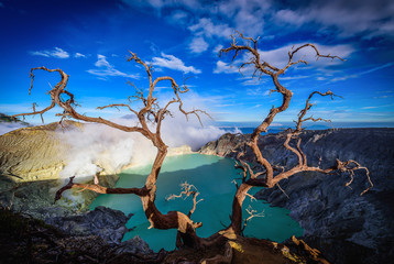 Kawah Ijen volcano with Dead trees on blue sky background in Java, Indonesia.