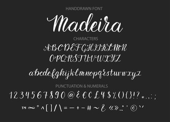Wall Mural - Handdrawn Vector Script font. Brush style textured calligraphy cursive typeface. 