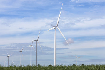 Wall Mural - white wind turbines generating electricity in wind power station with sugar cane fields farmland und