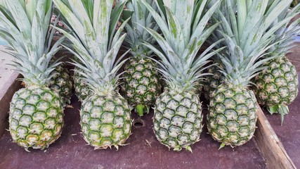 Pineapples with leaves on the table for sale