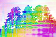 An Abstract Psychedelic Image Of A Forest.