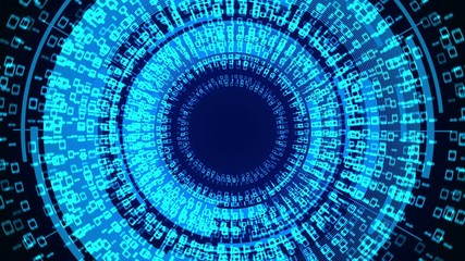 Wall Mural - binary computer code animation are arranged in a circle. internet business security concept backgrou