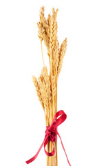 Wall Mural - Ears of wheat tied with red ribbon