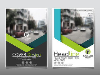 Wall Mural - green flyer cover business brochure vector design, leaflet advertising abstract background, modern p