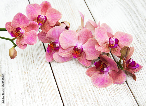rozowe-kwiaty-orchidei-lezace-na-drewnianym-stole