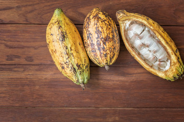 Cocoa Beans and Cocoa Fruits