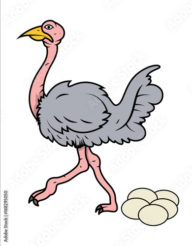Cartoon Ostrich Eggs Buy This Stock Vector And Explore Similar Vectors At Adobe Stock Adobe Stock