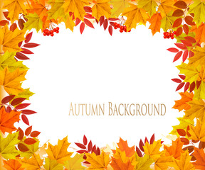 Aufkleber - Fall Autumn Colorful Leaves Background. Vector.