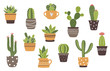 Vector hand drawn isolated cactus and succulents set. Cute green cactus in flower pots.