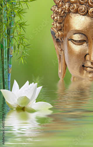 Composition Aquatique Zen Fleur De Lotus Bambous Et Bouddha Buy This Stock Photo And Explore Similar Images At Adobe Stock Adobe Stock