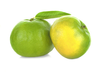 tangerine or mandarin fruit isolated on white background