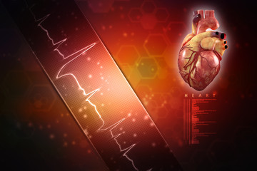 Sticker - 3d illustration  Anatomy of Human Heart 