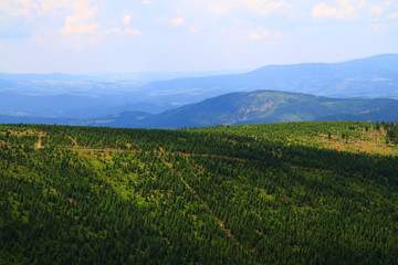 Wall Mural - Jeseniky mountains and forests
