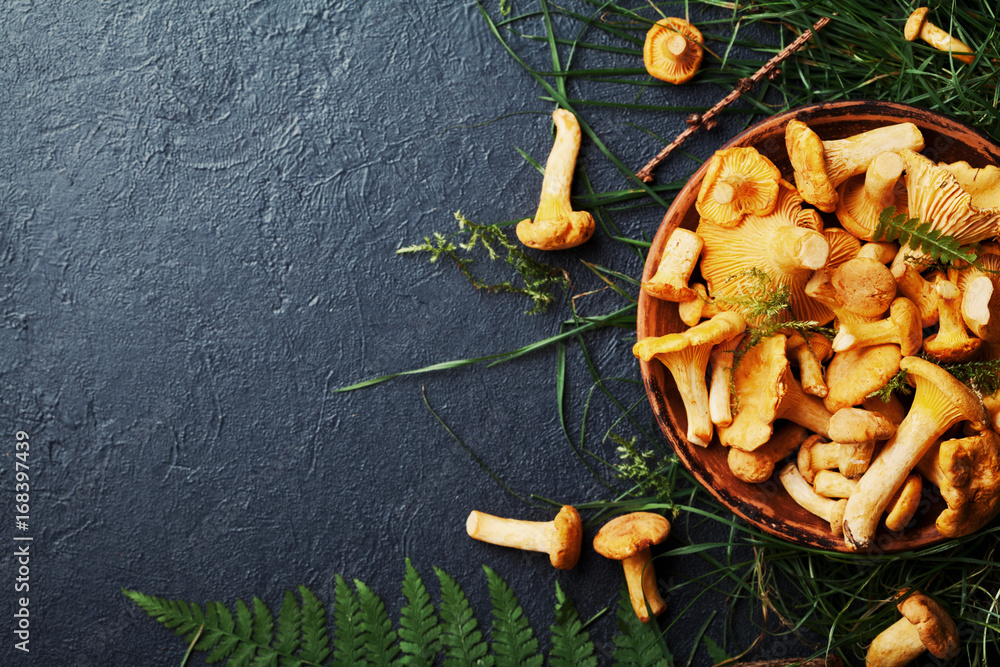 Yellow mushrooms chanterelle (cantharellus cibarius) in vintage plate with forest plants on dark kitchen table top view. Copy space for text. - obrazy, fototapety, plakaty 
