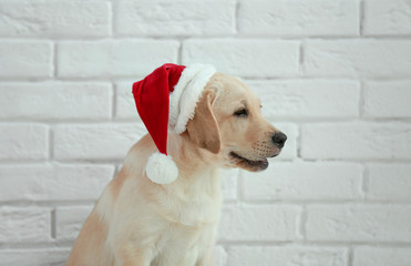 Wall Mural - Cute dog in Santa Claus hat against white brick wall