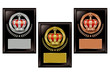 Illustration of 3 commemoration shields. / Gold, silver and bronze plates are text space.